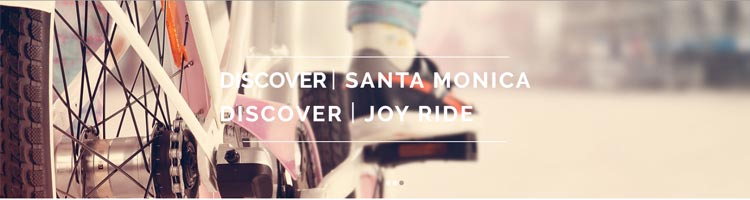 Joy Ride Santa Monica Tours