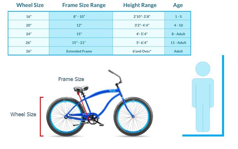 Beach cruiser size chart